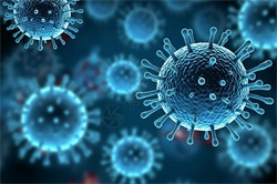 流感病毒的“变脸术”：抗原漂移与季节性流行的免疫学真相