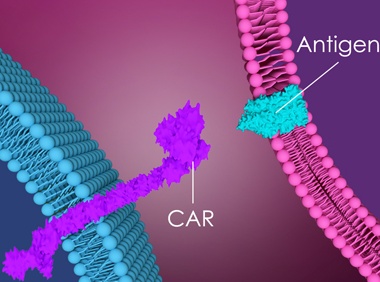 CAR-T细胞疗法：重塑免疫系统的“活体导弹”