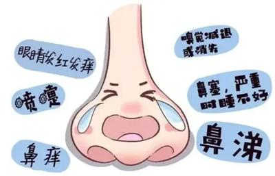 鼻痒喷嚏背后的免疫密码：过敏性鼻炎的科学防治